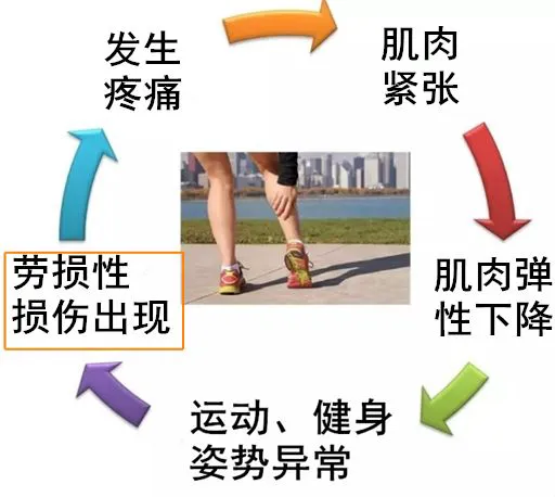 亚军球队的训练方案如何帮助你快速提升篮球技能_2